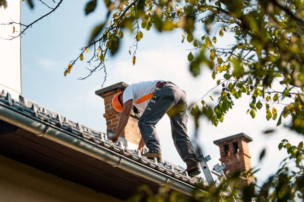Best Flat Roof Repair Services  in Monterey, TN