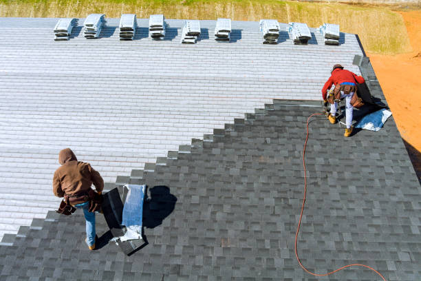 Best Roof Gutter Cleaning  in Monterey, TN